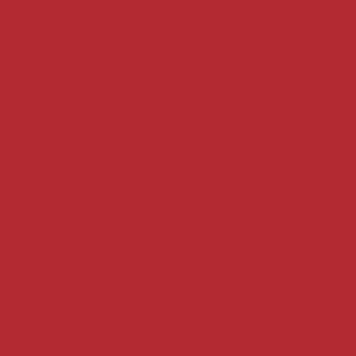 CRICUT Bügelfolie Joy (13.9 cm x 60.9 cm, Rot)