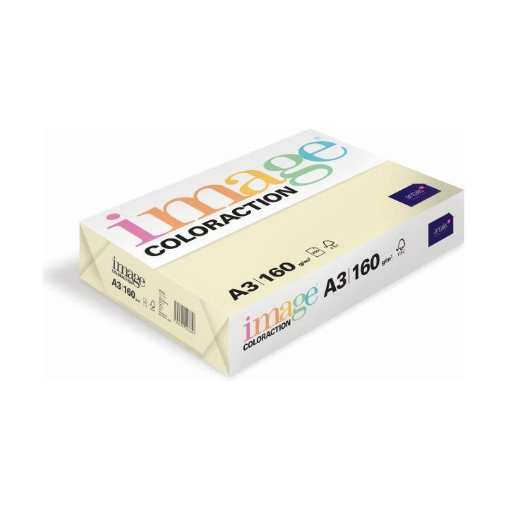IMAGE Coloraction Papier couleur (250 feuille, A3, 160 g/m2)