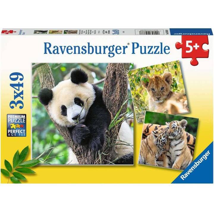 RAVENSBURGER Panda, Tiger und Löwe Puzzle (49 pezzo)