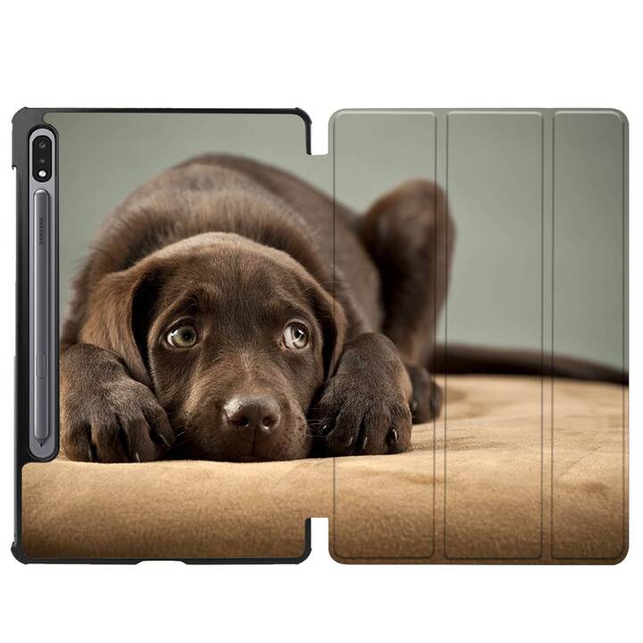 EG coque pour Samsung Galaxy Tab S8 11" (2022) - marron - chiens