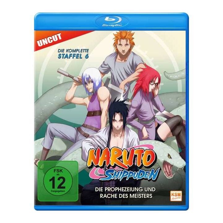 Naruto Shippuden Staffel 6 (Uncut, DE, JA)