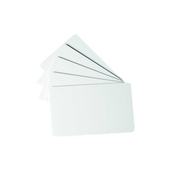 DURABLE Duracard Cartes plastiques (100 feuille)