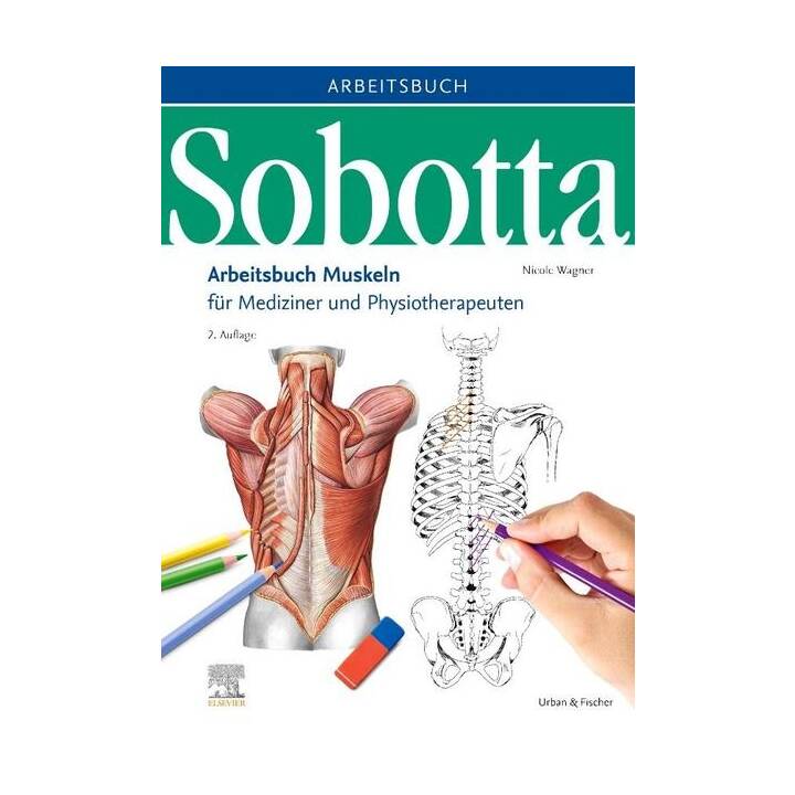 Sobotta Arbeitsbuch Muskeln