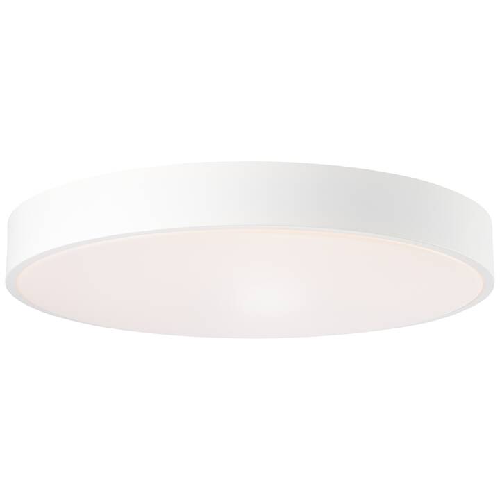 BRILLIANT Plafoniera  Slimline (Beige, Bianco)