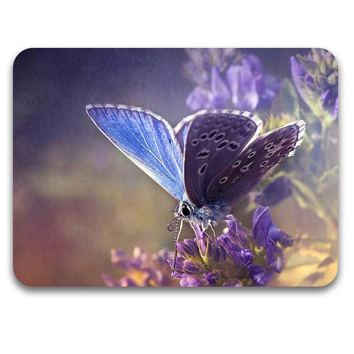 EG tappetino per mouse - viola - farfalla
