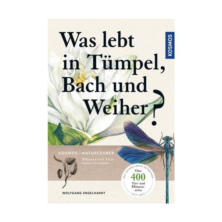 Was lebt in Tümpel, Bach und Weiher?