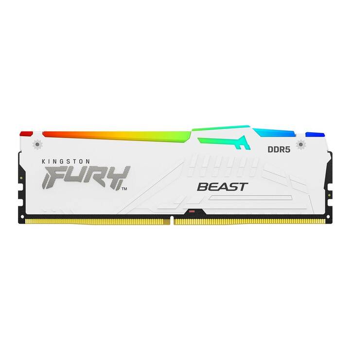 KINGSTON TECHNOLOGY  Fury Beast KF560C36BWE2A-16 (1 x 16 GB, DDR5 6000 MHz, DIMM 288-Pin)