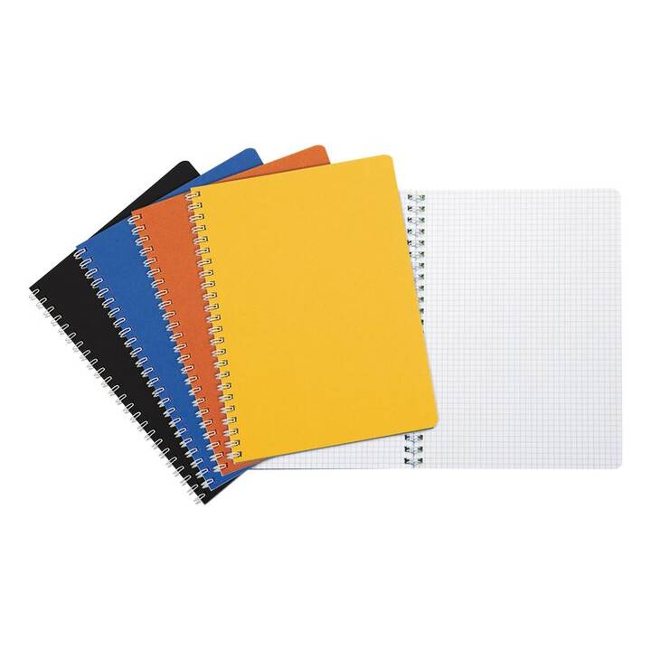 BIELLA Carnets TopColor (A4, Carreaux)