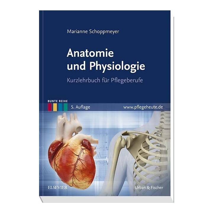 Anatomie und Physiologie