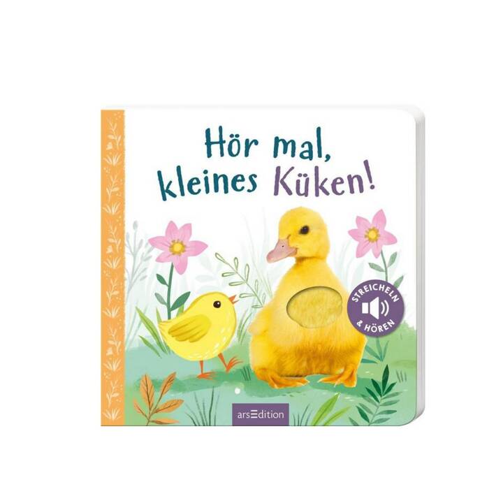 Hör mal, kleines Küken!. Streicheln und hören