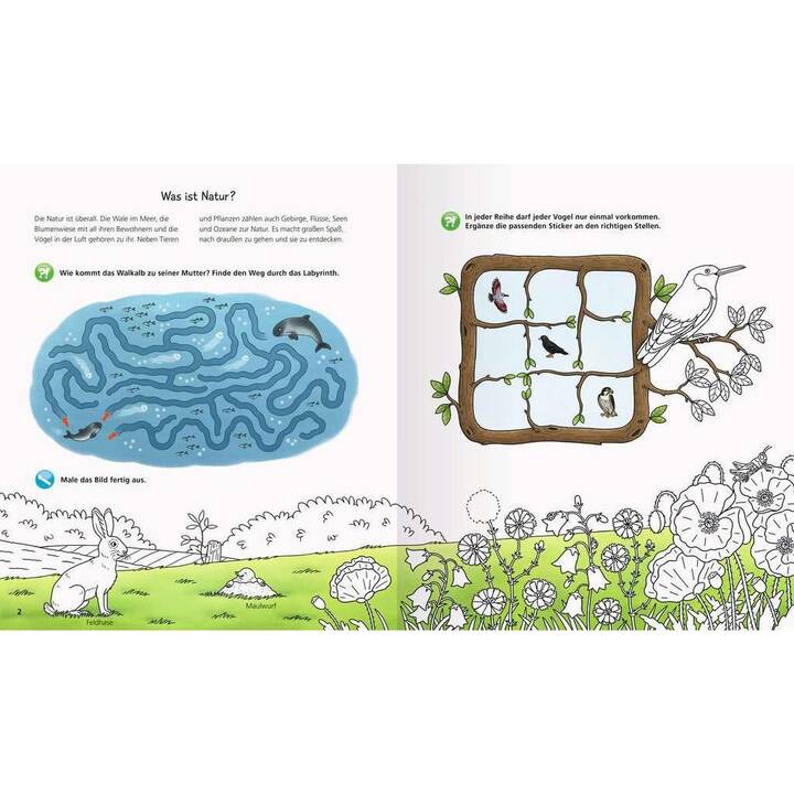 Wieso? Weshalb? Warum? aktiv-Heft: Natur
