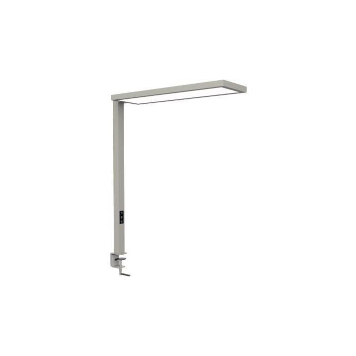 MAUL Lampe de table MAULsenja (Argent)