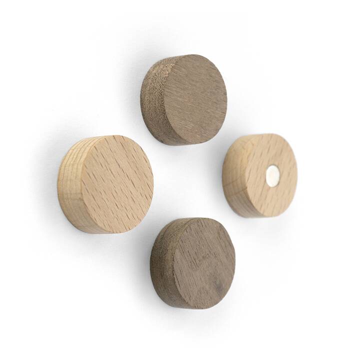 TRENDFORM Wood Puntina magnetico (4 pezzo)