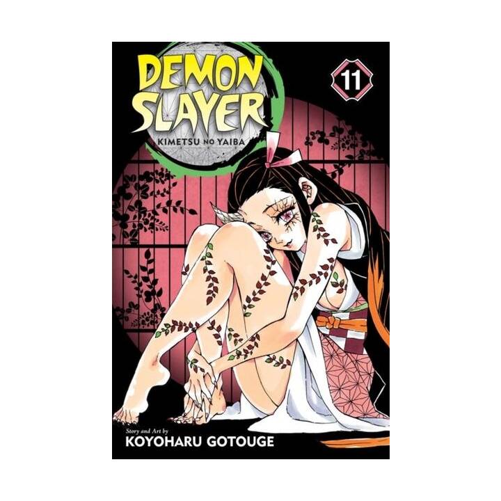 Demon Slayer: Kimetsu no Yaiba 11