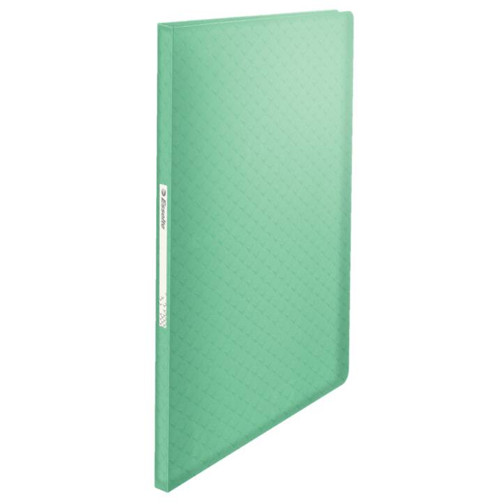 ESSELTE GROUP Libro della vista Colour'Ice (Verde, A4, 1 pezzo)