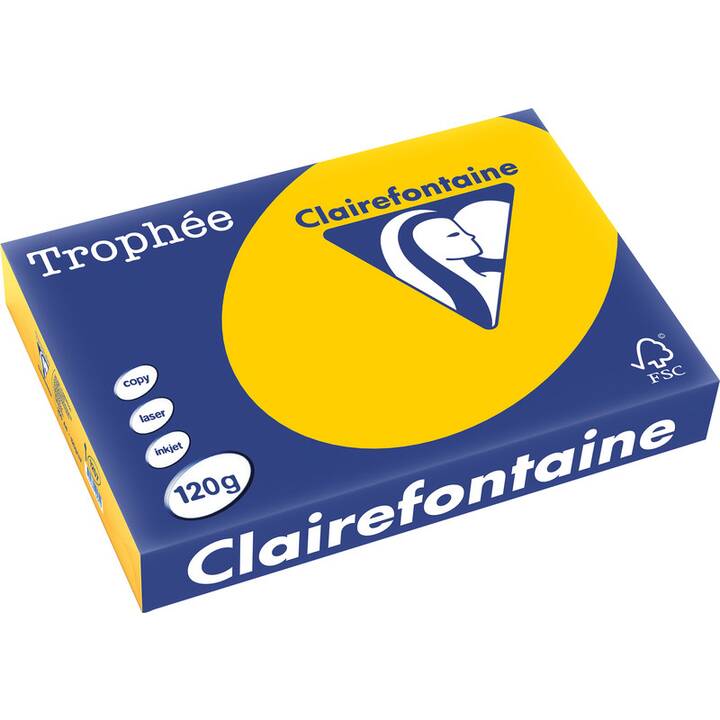 CLAIREFONTAINE Carta colorata (250 foglio, A4, 120 g/m2)