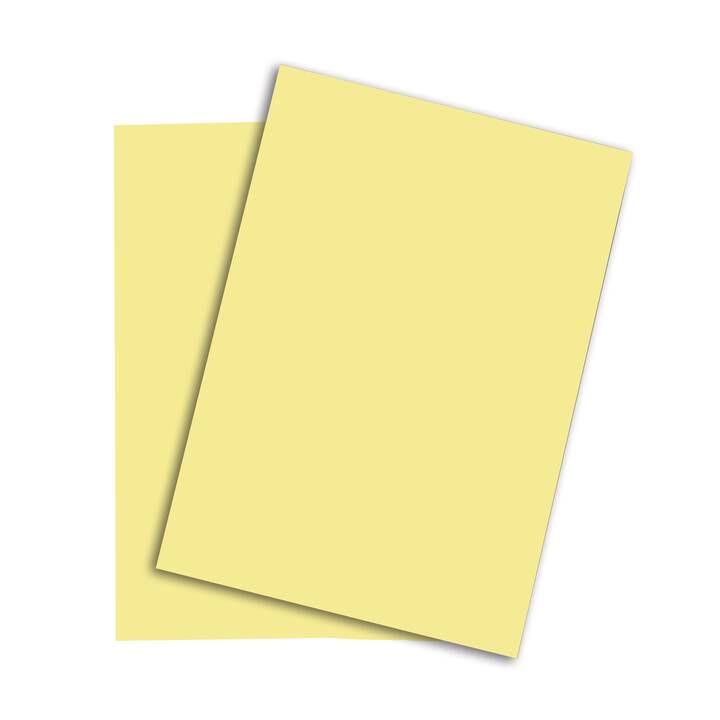 PAPYRUS Rainbow Farbiges Papier (250 Blatt, A3, 160 g/m2)