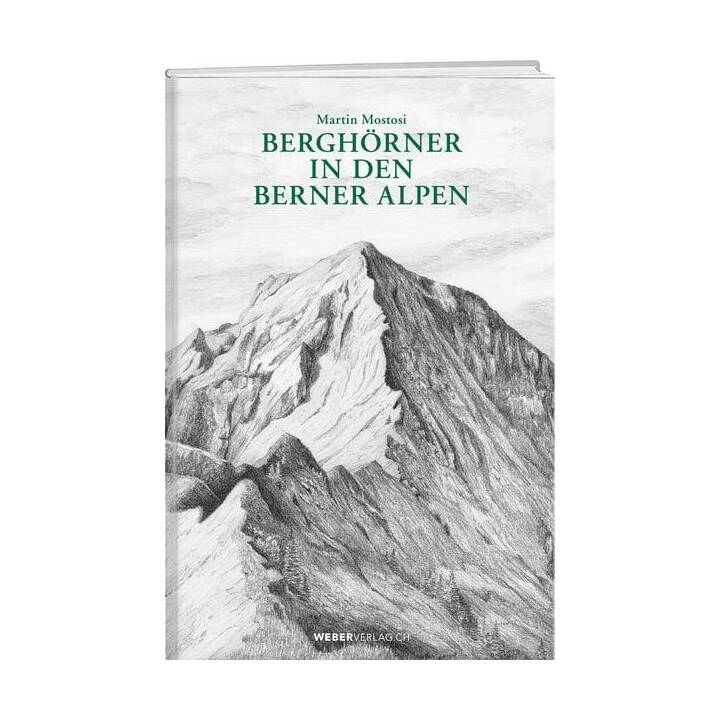 Berghörner in den Berner Alpen