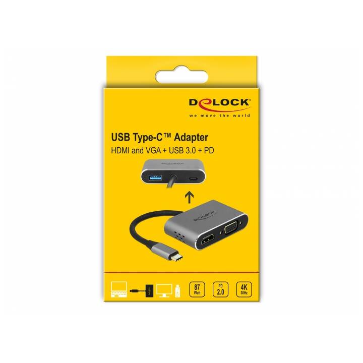 DELOCK Stations d'accueil 64074 (HDMI, VGA, USB 3.1 de type A, USB 3.1 de type C)