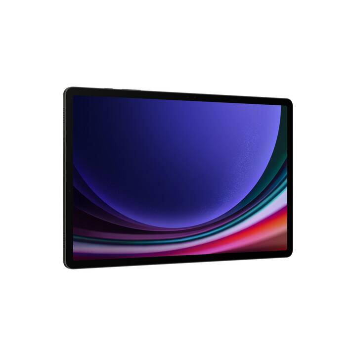 SAMSUNG Galaxy Tab S9+ 5G (12.4", 512 GB, Gris)