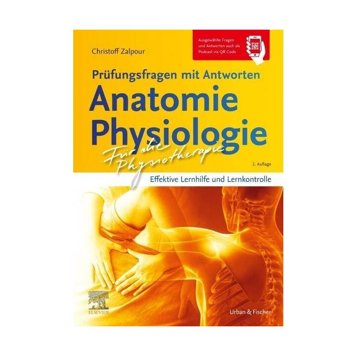 Für die Physiotherapie - Prüfungsfragen mit Antworten: Anatomie Physiologie