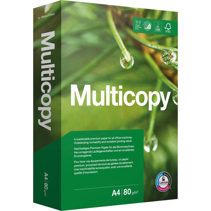 PAPYRUS Multicopy Papier photocopie (2500 feuille, A4, 80 g/m2)