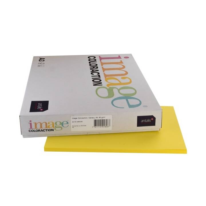 IMAGE Coloraction Carta colorata (250 foglio, A3, 160 g/m2)