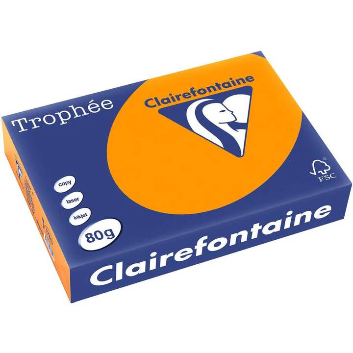 CLAIREFONTAINE Farbiges Papier (500 Blatt, A4, 80 g/m2)