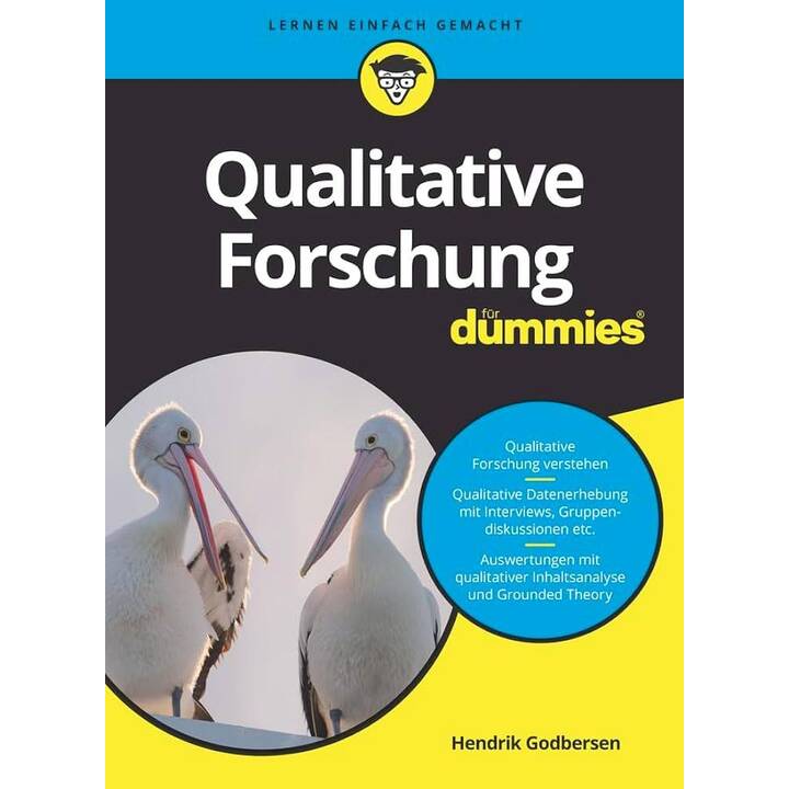 Qualitative Forschung für Dummies