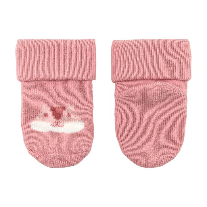 STERNTALER Chaussette pour bébé (Taille unique, Rose)