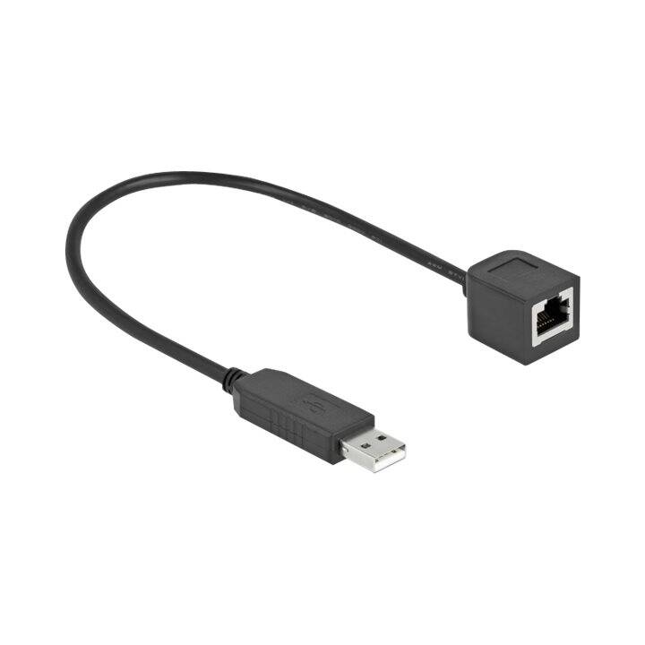 DELOCK Câble d'alimentation (USB de type A, RJ-45, 25 cm)