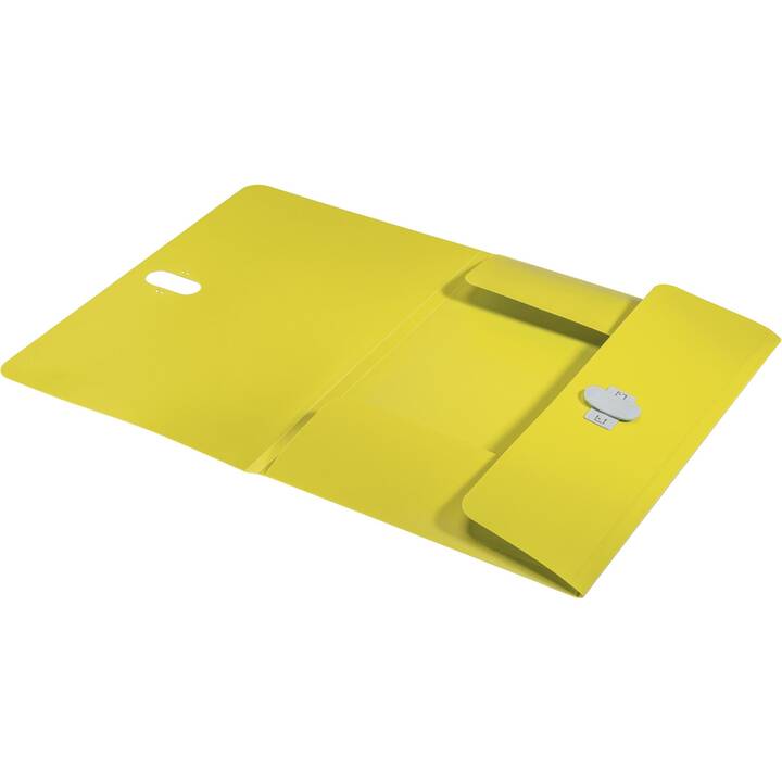 LEITZ Archivio a soffietto Recycle (Giallo, A4, 1 pezzo)