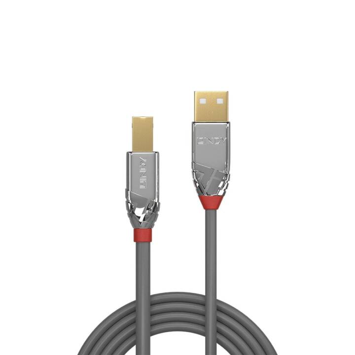 LINDY USB-Kabel (USB 2.0 Typ-A, USB 2.0 Typ-A, 2 m)