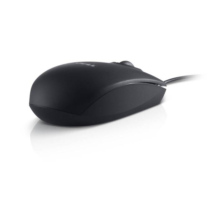 DELL MS116 Souris (Câble, Office)