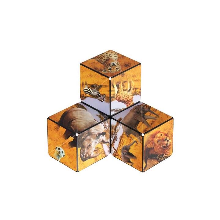 SHASHIBO Gioco scaltro Cube Savanna 