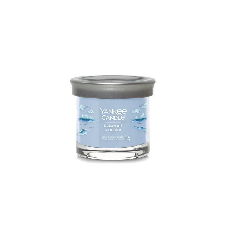 YANKEE CANDLE Bougie parfumée Ocean Air