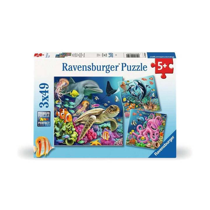 JUMBO Puzzle & Roll Porte-puzzle (3000 x) - Interdiscount
