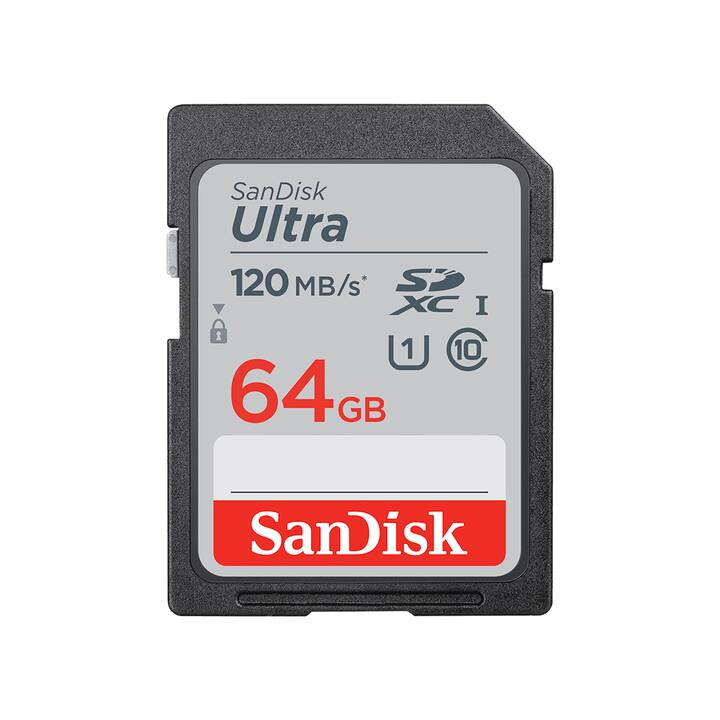 SANDISK SDXC UHS-I SDSDUNR-064G-GN3IN (Class 10, 64 GB, 100 MB/s)