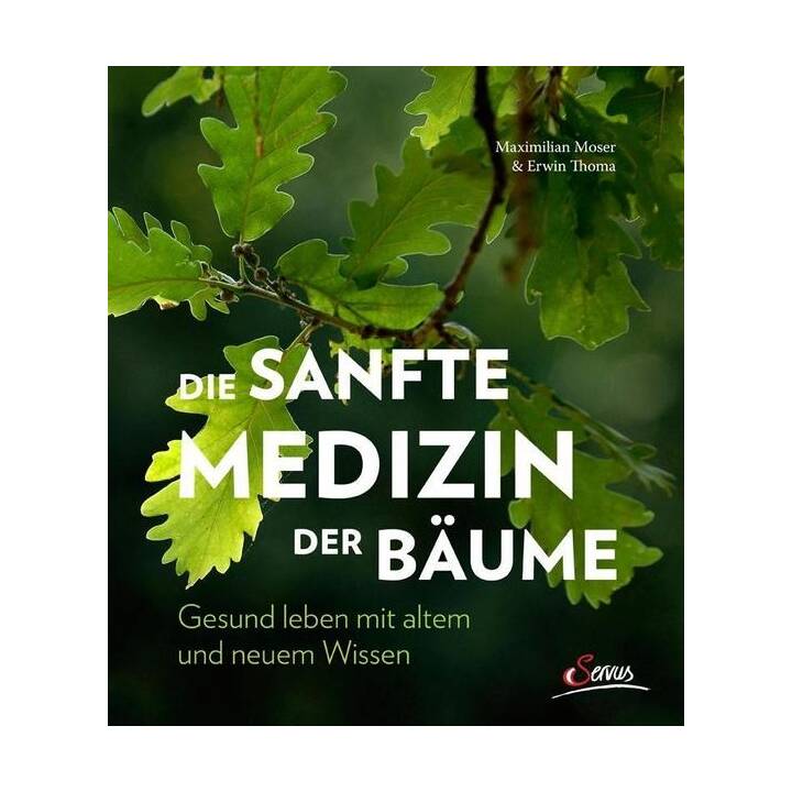 Die sanfte Medizin der Bäume