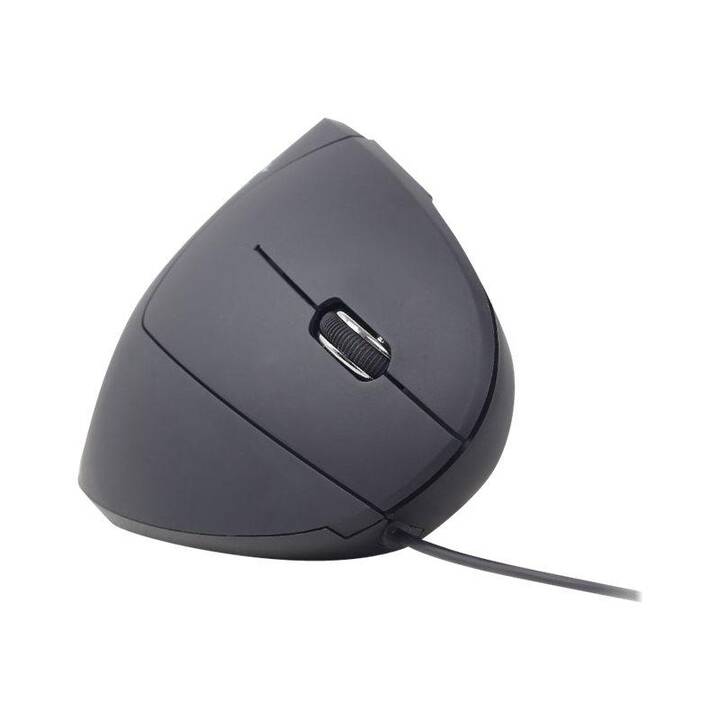 GEMBIRD MUS-ERGO-01 Mouse (Cavo, Office)