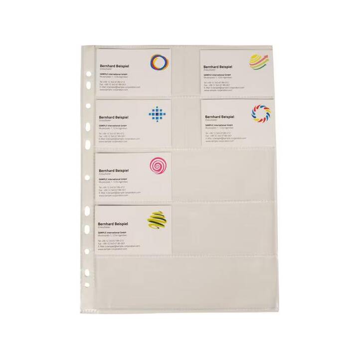 Q-CONNECT Dossiers chemises (Transparent, A4, 10 pièce)