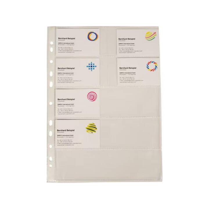 Q-CONNECT Cartellina trasparente (Transparente, A4, 10 pezzo)