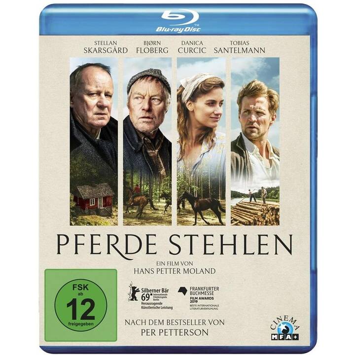 Pferde stehlen (DE)