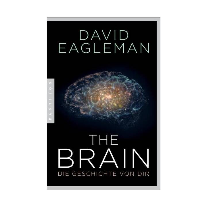 The Brain