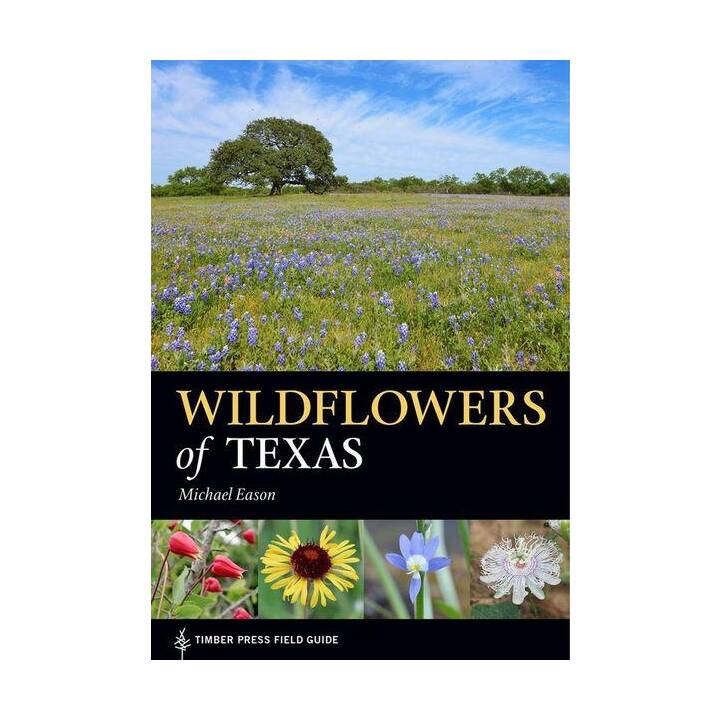 Wildflowers of Texas