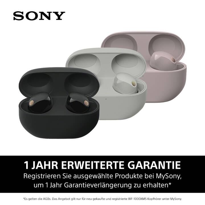 SONY WF-1000XM5 (Bluetooth 5.3, Silber)