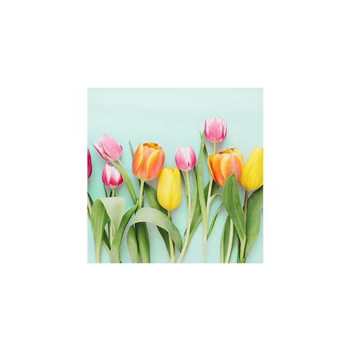 BRAUN + COMPANY Papierserviette Rainbow Tulips (33 cm x 33 cm, 20 Stück)