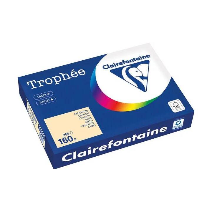 CLAIREFONTAINE Trophée Chamois Papier photocopie (250 feuille, A4, 160 g/m2)
