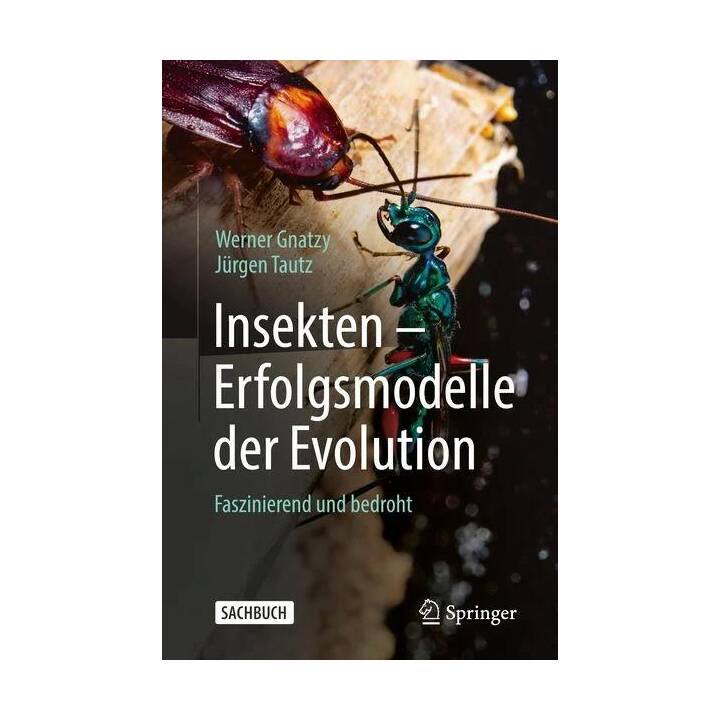 Insekten - Erfolgsmodelle der Evolution