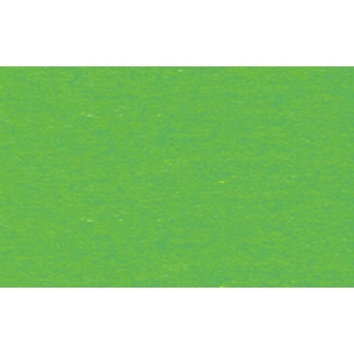 URSUS Papier à dessin (L'herbe verte, Vert, 10 pièce)